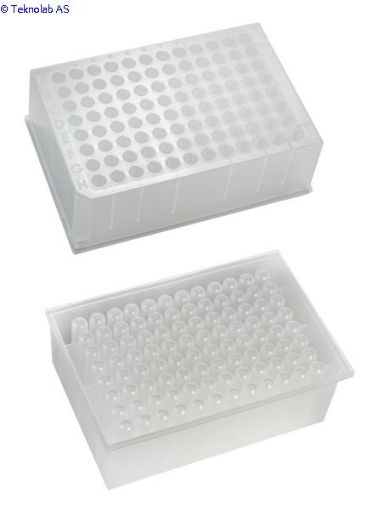 Bilde av 96 Deep Round Well, 1ml/well, Polypropylene Plate, Rimless, DNase/RNase Free, inner bag of 5 - Palle