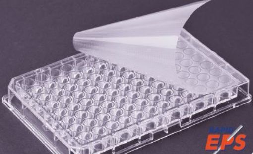 Bilde av RAPID EPS (Sheet type)  100 sheets / pack