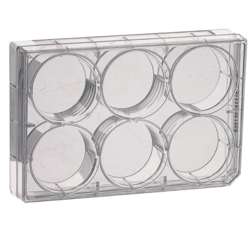 Bilde av Sterile culture multiwell plates, 96 wells, 2 x 50 pcs