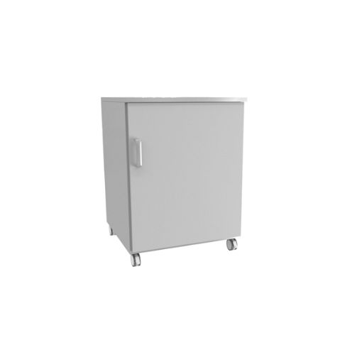 Bilde av Auxiliar laboratory cabinet with wheels and one door, steel, 600 x 520 x 805 mm