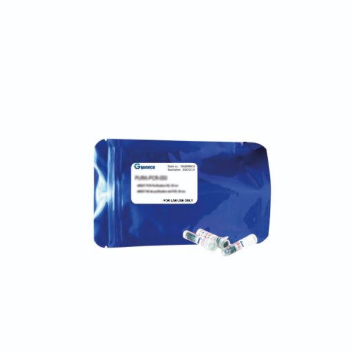 Bilde av OXGEN DNA molecular weight marker, 500 bp - 10 kb, 500 ul