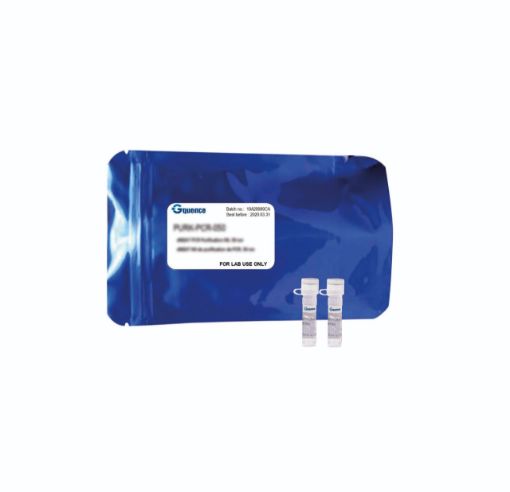 Bilde av qLUMEN MasterMix for qPCR (2x) with green dye, High ROX, 2 x 1,25 ml