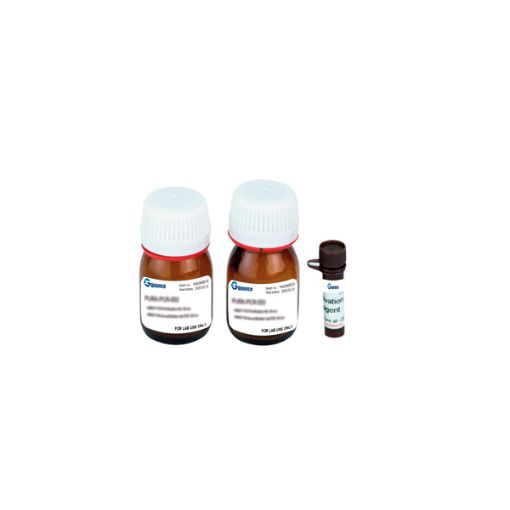 Bilde av XTT Cell Proliferation Assay Kit, 500 rxn