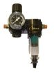 Bilde av GAS REGULATOR WITH FILTER  0,01µ AND MANOMETER