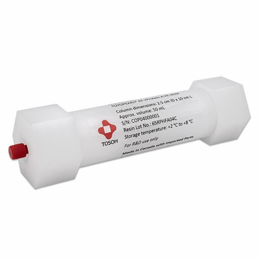 Bilde av SkillPak 50 Ether-650M, 50 mL column, 2.5x10 cm